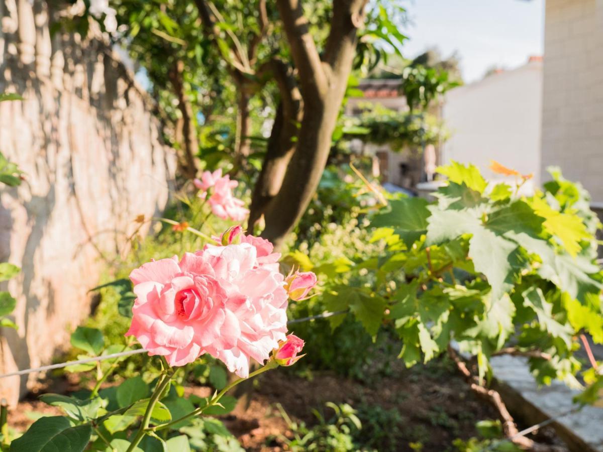 Rezevici Boutique Villa Petrovazzo Esterno foto